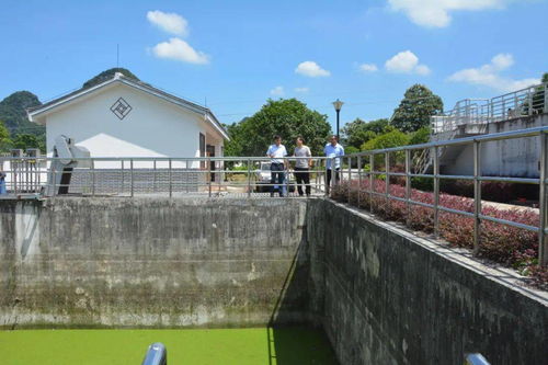 縣城市管理監(jiān)督局深入葡萄鎮(zhèn)污水處理廠開(kāi)展調(diào)研工作，聚焦智慧管理與綠色發(fā)展